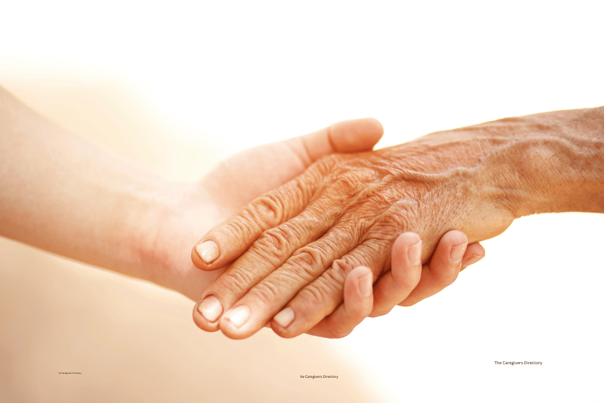 The Caregivers Directory 2